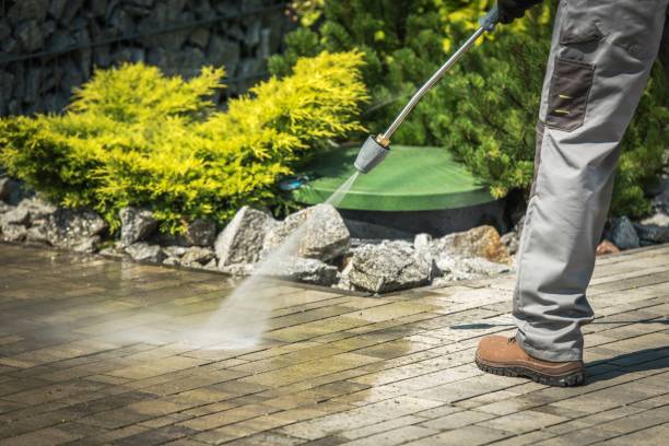 Best Rust Removal  in Kirkland, IL