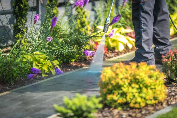 Best Pool Deck Cleaning  in Kirkland, IL